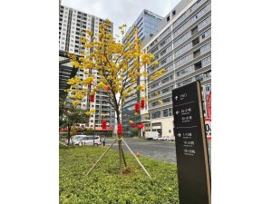 企業(yè)環(huán)境